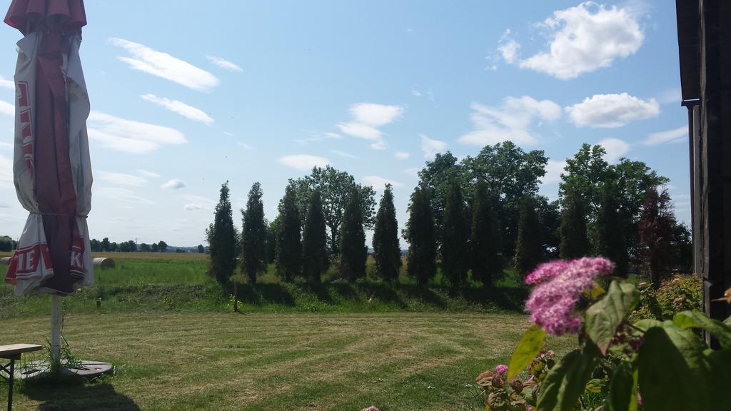 Pawlakowa Zagroda Hotell Grabiny-Zameczek Rum bild